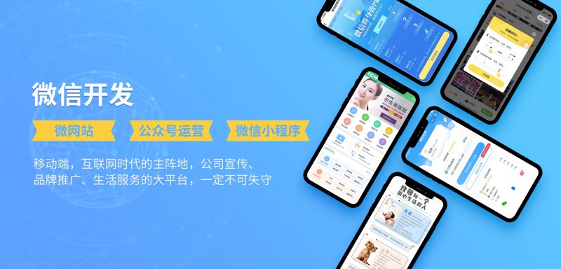 企业信息化选购指南：构建高效办公体系